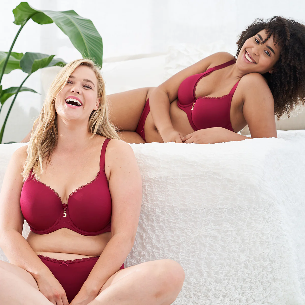 BH Pure Basic Bordeaux - Image 12